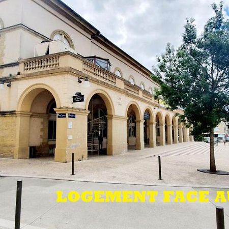 Le Wlerick 4 - Hyper Centre - Au Calme - Wifi Apartment Mont-de-Marsan Luaran gambar